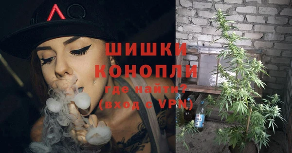 трава Балахна